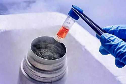 格鲁吉亚单身试管8步流程：助你实现生育梦想